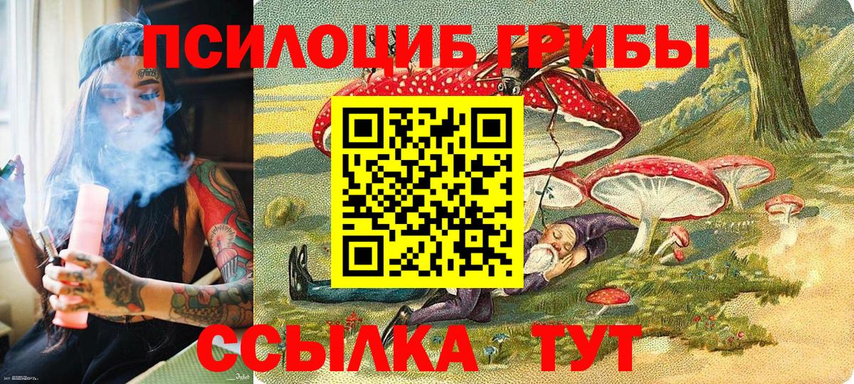 Галлюциногенные грибы Cubensis Мирный