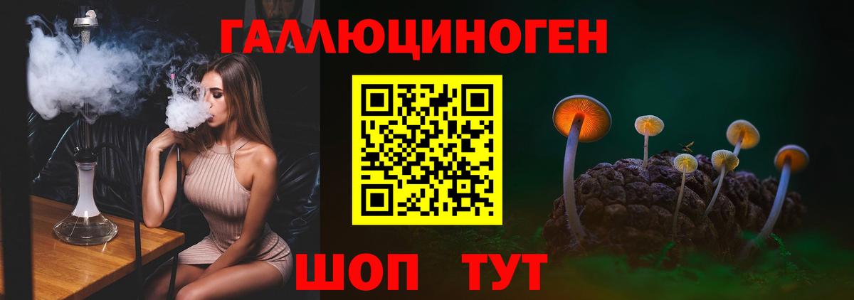 Мирный  Псилоцибиновые грибы ЛСД  Вход с VPN 